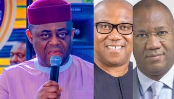 Fani-Kayode Advices APC on How To Defeat Peter Obi Supporters - Opdato