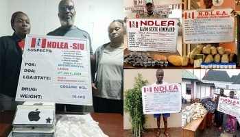 NDLEA arrests Cocaine Syndicate Opdato