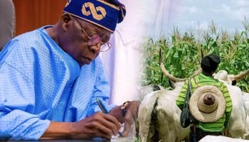 President Tinubu Creates Ministry to Tackle Farmer and Cattle Herders Crises-Opdato